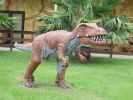 PICTURES/Dinosaur World Florida/t_IMG_5941.jpg